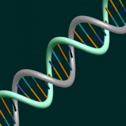 DNA Double Helix, Google Images