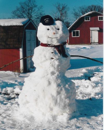 Happy, healthy snowman